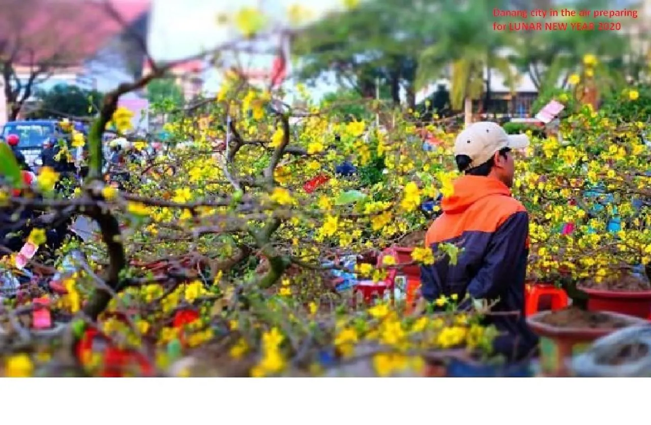 Da Nang Minh Hai 3*, Da Nang