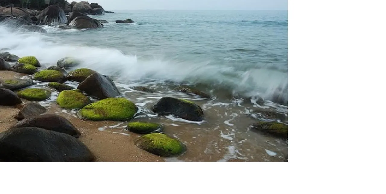 Da Nang Minh Hai Vietnam